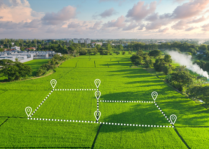 Arsalar ve Gelişim Alanları